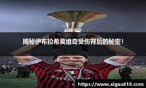 yy易游