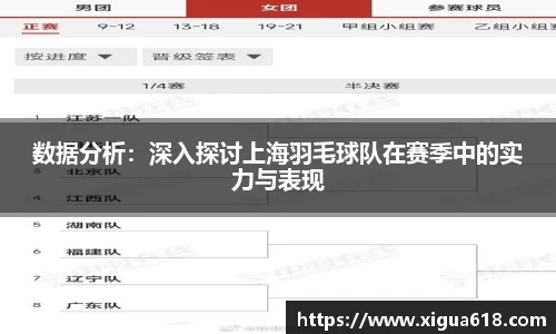 数据分析：深入探讨上海羽毛球队在赛季中的实力与表现