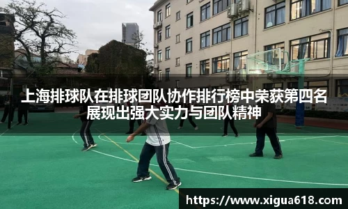 yy体育