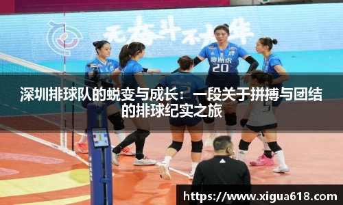 易游体育