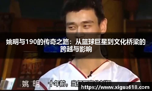 yy体育