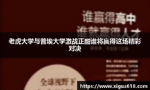 yy体育