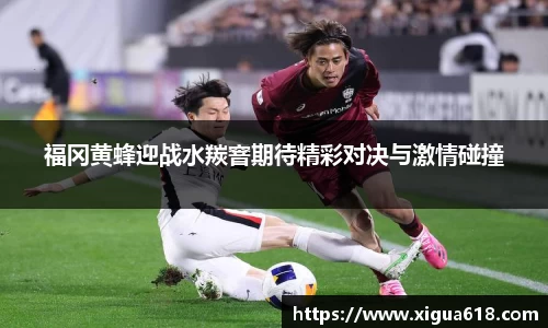 福冈黄蜂迎战水羰窨期待精彩对决与激情碰撞