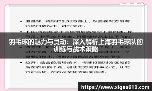 羽毛球的魅力与灵动：深入解析上海羽毛球队的训练与战术策略