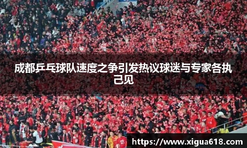 成都乒乓球队速度之争引发热议球迷与专家各执己见